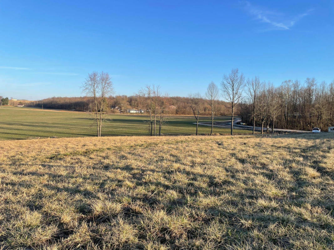 HWY 951, KNOTTSVILLE, KY 42366, photo 1 of 10