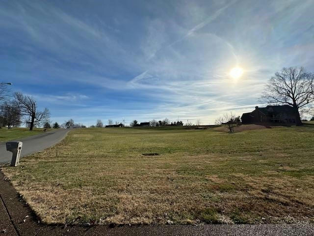 LOT 33 THORNHILL ROAD, MADISONVILLE, KY 42431, photo 1